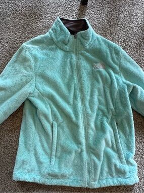 The North Face Teal Plush Full-Zip Fleece Jacket